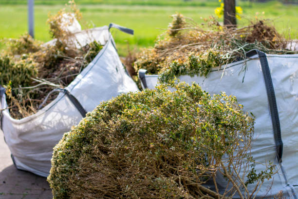 Debris Removal in Houserville, PA